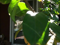 Pungent Hottie Katreena Lee Bonks So Nicely