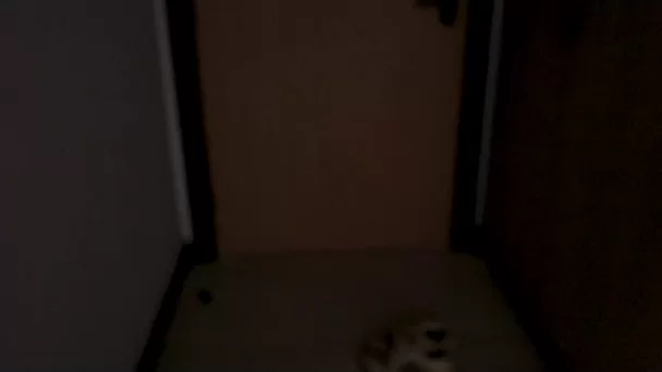 Gorgeous Stepmom With Seductive Body Gets Fucked By Her Lustful Stepson While Her Husband Is Not Around