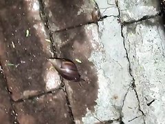 Asian Babe Having Fun