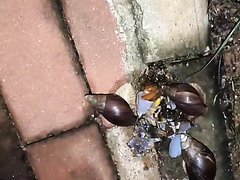 Asian Babe Having Fun