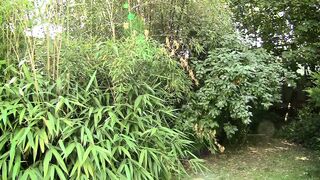 Perfect Orgasm   (Full Movie HD Original Uncut Version)