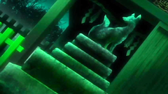 Interracial Bang In The Crazy Hospital   Hentai Porn Toons