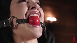 Reese The Ram   Bound And Tamed 02 02 2026